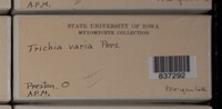 Image Associated With the Occurence
